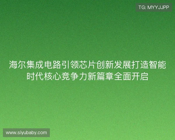 海尔集成电路引领芯片创新发展打造智能时代核心竞争力新篇章全面开启
